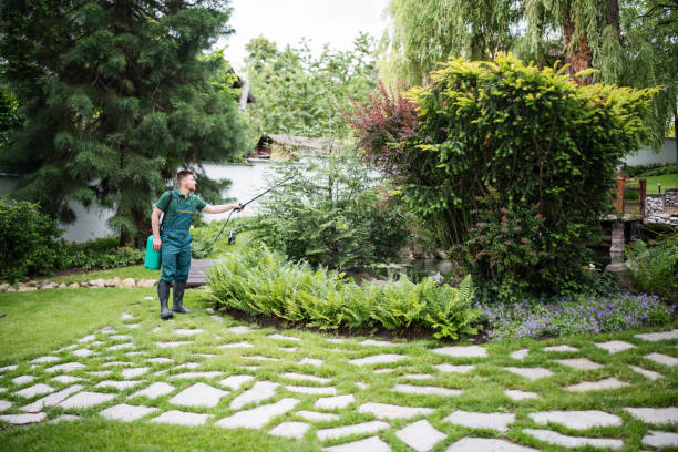 Best Wasp Removal Services  in Murphy, NC