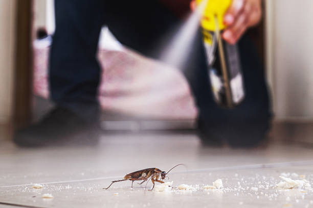 Best Pest Control Near Me  in Murphy, NC